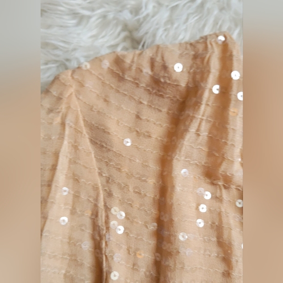 Forever 21 Rose Champagne Sequin Cocktail Dress - Picture 8 of 11